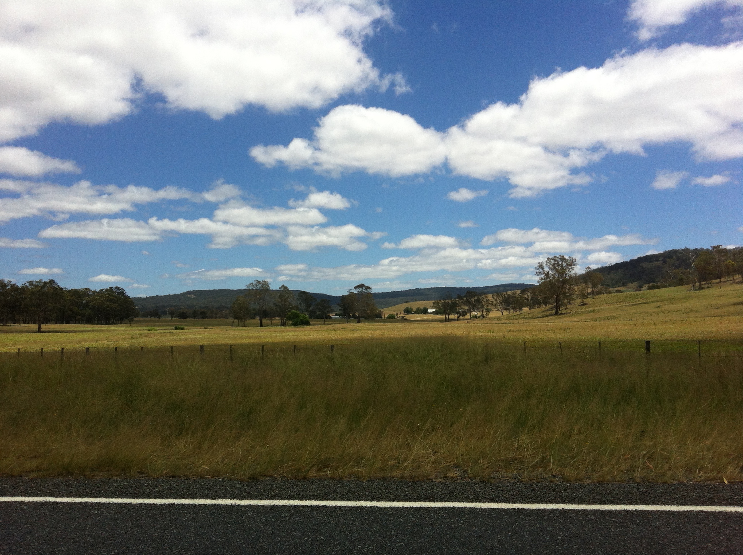A grassy landscape with the linemarking on the side of the road in the foreground